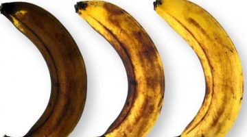 فاكهة لا يُمكن أكلها مع الموز حسب كلام الأطباء.. تعرف عليها
