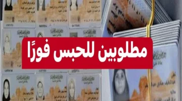 “اعرف حالا”.. عاجل وزارة الداخلية تُصدر غرامات مالية كُبرى على هؤلاء المواطنين.. اوعي تكون منهم !!!