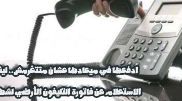 ادفعها في ميعادها عشان متتغرمش.. لينك الاستعلام عن فاتورة التليفون الأرضي لشهر 7