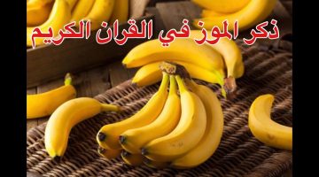 فاكهة أهل الجنة.. هل ذكر الموز في القرآن؟ وما هو اسمه؟