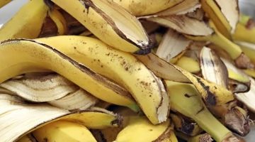 فوائد قشر الموز في علاج مشاكل الشعر وطريقة استخدامه
