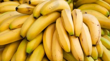 عالم يكشف عن مفاجأة خطيرة بشأن أكل الموز