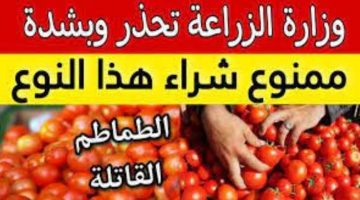 ” الطماطم القاتلة ” .. وزارة الصحة تحذر المواطنين من شراء هذا النوع من ” الطماطم ” .. سم قاتل يهدد الصحة !!