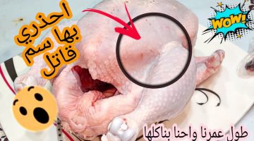 سم قاتل .. 4 أجزاء من ” الفراخ ” توقف عن تناولها فورا .. كارثة صحية تحدث في الجسم !!