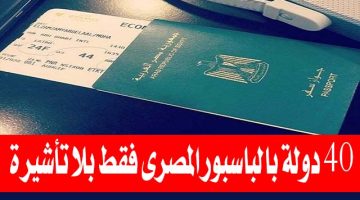 «خبر بمليون جنيه».. جواز السفر المصري الجديد 2024 بدون تأشيرة وهذه الدول التي يمكن السفر اليها بدون تأشيرة