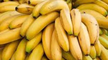 لو آخر فاكهة في العالم أوعى تاكلها!!.. تحذير عاجل من تناول الموز اذا كان بهذه المواصفات.. خطر على حياتك وحياة أولادك!