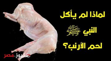 “السبب غير متوقع”..اعرف الان ماذا رفض سيدنا محمد أن يأكل لحم الأرنب رغم أنه ليس محرما؟!.. إليكم التفاصيل!!