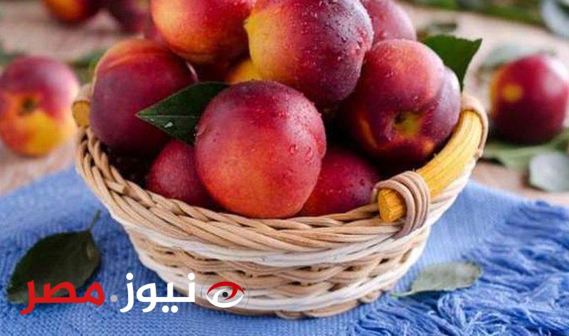 كيلو الخوخ وصل لـ 500 جنيه في الأسواق.. توضيح عاجل من شبعة الفاكهة
