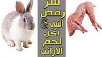 اعرف قبل اى حد!.. لماذا رفض سيدنا محمد أن يأكل لحم الأرنب رغم أنه ليس محرما؟! .. اعرف الإجابة الآن 