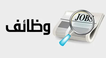 برواتب تصل إلى 14 ألف جنيه.. الشروط والتخصصات المطلوبة لوظائف شاغرة بمبادرة توظيف مصر