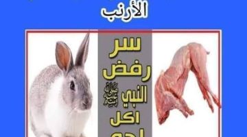 لن تصدق ما أسباب رفض نبينا محمد لأكل “لحم الأرنب” بالرغم من أنه حلال.. هتتصدم لما تعرف الإجابة!