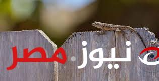 ياريتني عرفتها من زمان !!.. أفضل الطرق للتخلص من البرص نهائيا مش هتشوفه تاني!! هتدعيلي طول عمرك!!