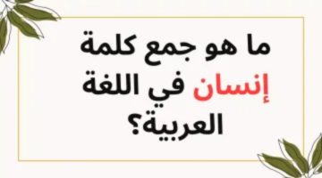 “لغز حير الملايين”.. ما هو جمع كلمة «إنسان» في اللغة العربية .. عشان ماترجعش تقول معرفش!!!