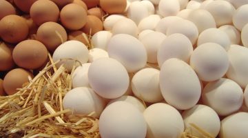 ما الفرق بين البيض الأبيض والأحمر.. وأيهمك أفضل لصحتك