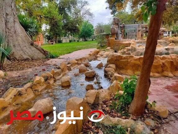 ربيع الدنيا والبديع.. الحدائق تستعد لاستقبال الزوار في شم النسيم (صور)