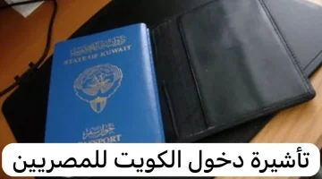 “المصريين هيطيروا من الفرحة”.. مواعيد فتح حجز تأشيرات عمل للكويت 2024  والتقديم على التصاريح
